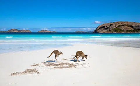 ავსტრალია